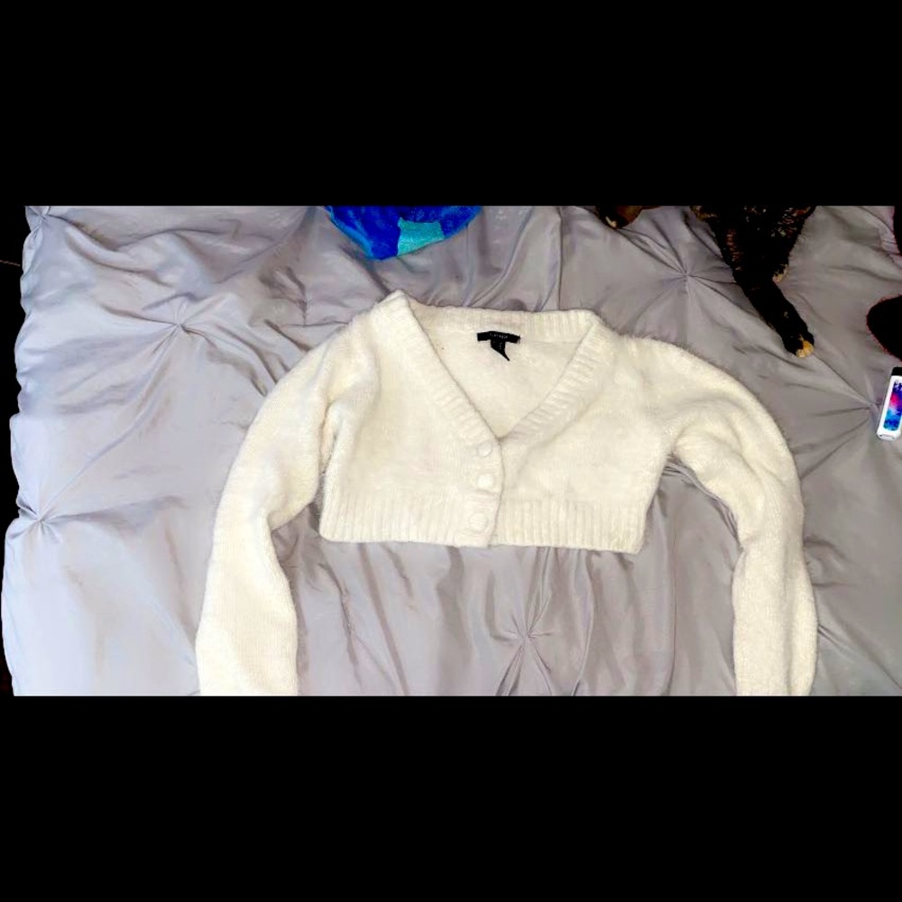 Furry Cropped sweater